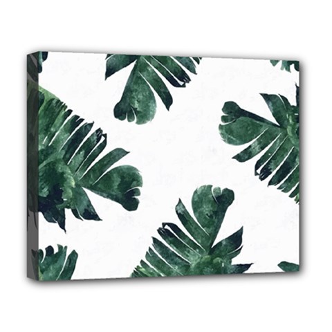 Banana Leaves Deluxe Canvas 20  X 16  (stretched) by goljakoff