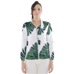 Banana Leaves Women s Windbreaker by goljakoff