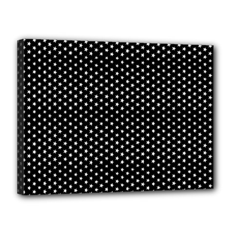 Stars On Black Ink Canvas 16  X 12  (stretched) by goljakoff