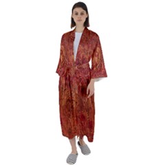 Animalprintfnl1 Maxi Satin Kimono by PollyParadise