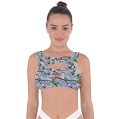 Pear Branch With Flowers Bandaged Up Bikini Top by SychEva