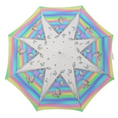 Minimal Holographic Butterflies Straight Umbrellas