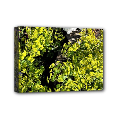 Acid Green Patterns Mini Canvas 7  X 5  (stretched) by kaleidomarblingart