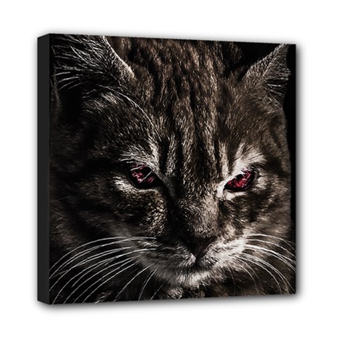 Creepy Kitten Portrait Photo Illustration Mini Canvas 8  x 8  (Stretched)