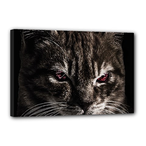 Creepy Kitten Portrait Photo Illustration Canvas 18  x 12  (Stretched)