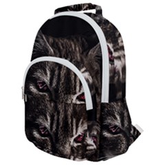 Creepy Kitten Portrait Photo Illustration Rounded Multi Pocket Backpack