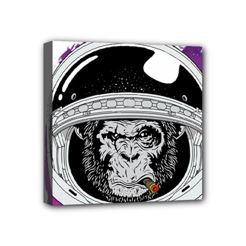 Spacemonkey Mini Canvas 4  X 4  (stretched) by goljakoff