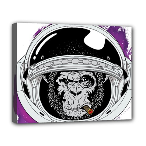 Spacemonkey Deluxe Canvas 20  X 16  (stretched) by goljakoff