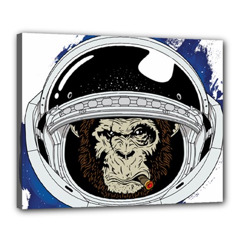 Spacemonkey Canvas 20  X 16  (stretched) by goljakoff