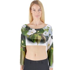 F69ccc07-4684-4c4d-951f-7f1801ec955e Long Sleeve Crop Top by SychEva