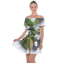 F69ccc07-4684-4c4d-951f-7f1801ec955e Off Shoulder Velour Dress by SychEva