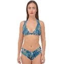 Turquoise and blue Double Strap Halter Bikini Set View1