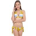 0001-3207033350 20210621 173022 ???? Tie It Up Bikini Set View1