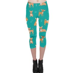 Cute Chihuahua Dogs Capri Leggings  by SychEva