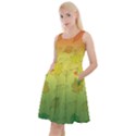 Plant Science Knee Length Skater Dress With Pockets View1