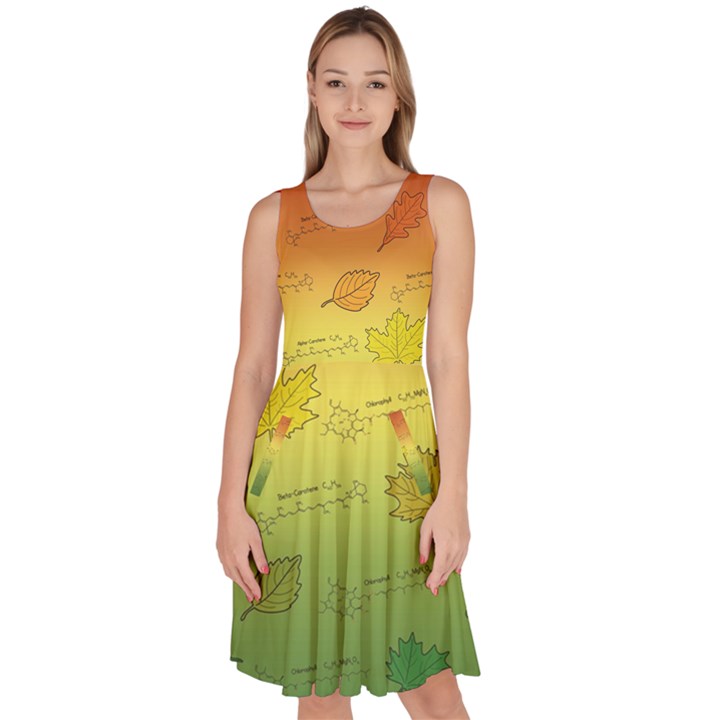 Plant Science Knee Length Skater Dress With Pockets