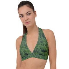 Leafy Forest Landscape Photo Halter Plunge Bikini Top by dflcprintsclothing