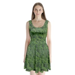 Leafy Forest Landscape Photo Split Back Mini Dress  by dflcprintsclothing