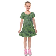 Leafy Forest Landscape Photo Kids  Short Sleeve Velvet Dress by dflcprintsclothing