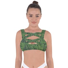 Leafy Forest Landscape Photo Bandaged Up Bikini Top by dflcprintsclothing