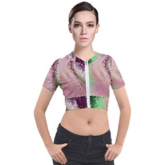 Fraction Space 1 Short Sleeve Cropped Jacket