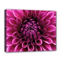 Dahlia-flower-purple-dahlia-petals Canvas 14  x 11  (Stretched) View1