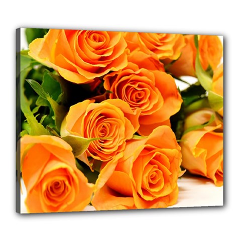 Roses-flowers-orange-roses Canvas 24  x 20  (Stretched)