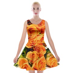 Roses-flowers-orange-roses Velvet Skater Dress