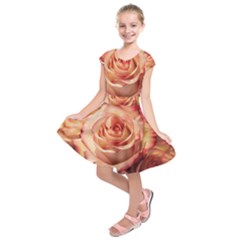 Roses-flowers-rose-bloom-petals Kids  Short Sleeve Dress