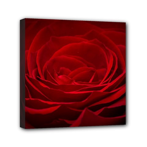 Rose-red-rose-red-flower-petals-waves-glow Mini Canvas 6  X 6  (stretched) by Sapixe