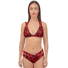 Red Oak And Maple Leaves Double Strap Halter Bikini Set