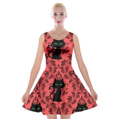 Cat Pattern Velvet Skater Dress by InPlainSightStyle