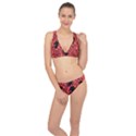 Cat Pattern Classic Banded Bikini Set  View1