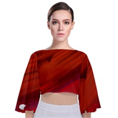 Crimson Tie Back Butterfly Sleeve Chiffon Top