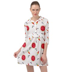 Slices Of Red And Juicy Watermelon Mini Skater Shirt Dress by SychEva
