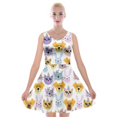 Funny Animal Faces With Glasses On A White Background Velvet Skater Dress by SychEva