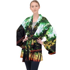 Science-fiction-forward-futuristic Long Sleeve Velvet Kimono 