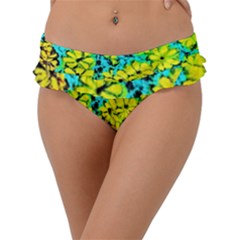 Img20180928 21031864 Frill Bikini Bottom