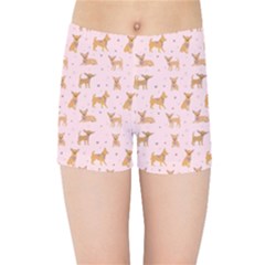 Cute Chihuahua With Sparkles On A Pink Background Kids  Sports Shorts by SychEva