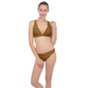 Metallic Mesh Screen 2-gold Classic Banded Bikini Set  View1