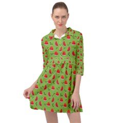 Juicy Slices Of Watermelon On A Green Background Mini Skater Shirt Dress by SychEva