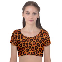 Leopard-print 3 Velvet Short Sleeve Crop Top  by skindeep