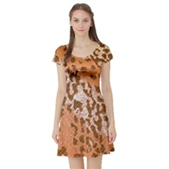 Leopard-knitted Short Sleeve Skater Dress by skindeep
