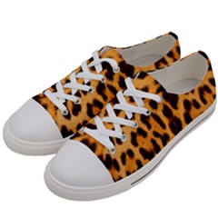 Fur 5 Men s Low Top Canvas Sneakers by skindeep