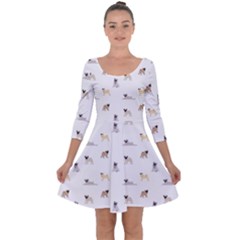 Funny Pugs Quarter Sleeve Skater Dress by SychEva