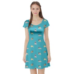 Funny Pugs Short Sleeve Skater Dress by SychEva