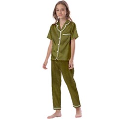 Leatherette 6 Green Kids  Satin Short Sleeve Pajamas Set by skindeep