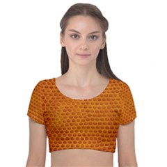 Leatherette 5 Brown Velvet Short Sleeve Crop Top  by skindeep