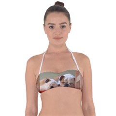 2 Sleeping Bulldogs Halter Bandeau Bikini Top by SomethingForEveryone