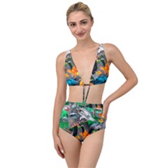 Point Of Entry 4 Tied Up Two Piece Swimsuit
